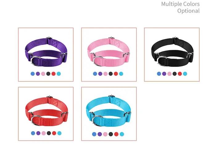 Collier Martingale pour chiens de petite à grande taille