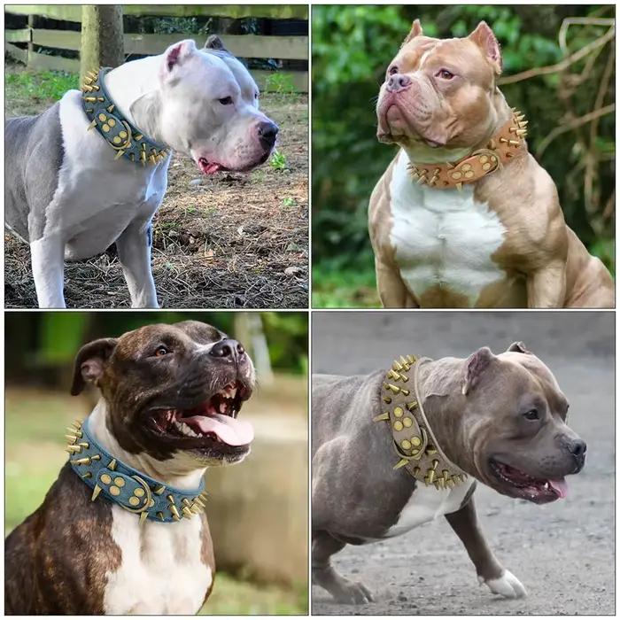 Collier pour chien en cuir PU avec rivets à pointes, grand, anti-morsure, durable et réglable, pour chiens de taille moyenne à grande, accessoires pour animaux de compagnie