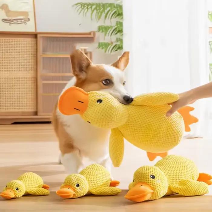 Jouet en peluche pour animaux de compagnie
