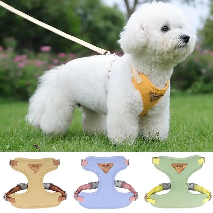 Nouvel ensemble de harnais et de laisse pour chiots et petits chiens