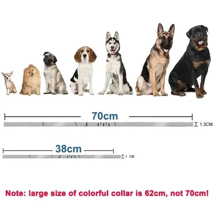Collier de chien en plastique réglable