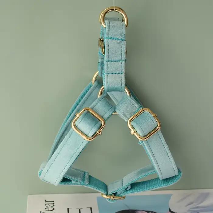 Laisse de collier pour chien