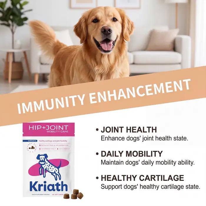 Complément alimentaire pour chiens