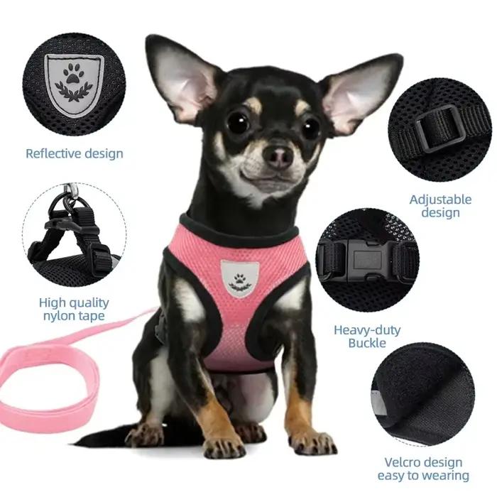 Harnais d'été pour chien et chat