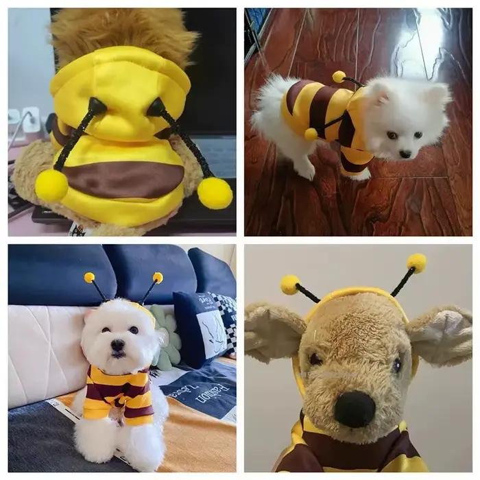 Abeille animal de compagnie chiot manteau vêtements tenue polaire
