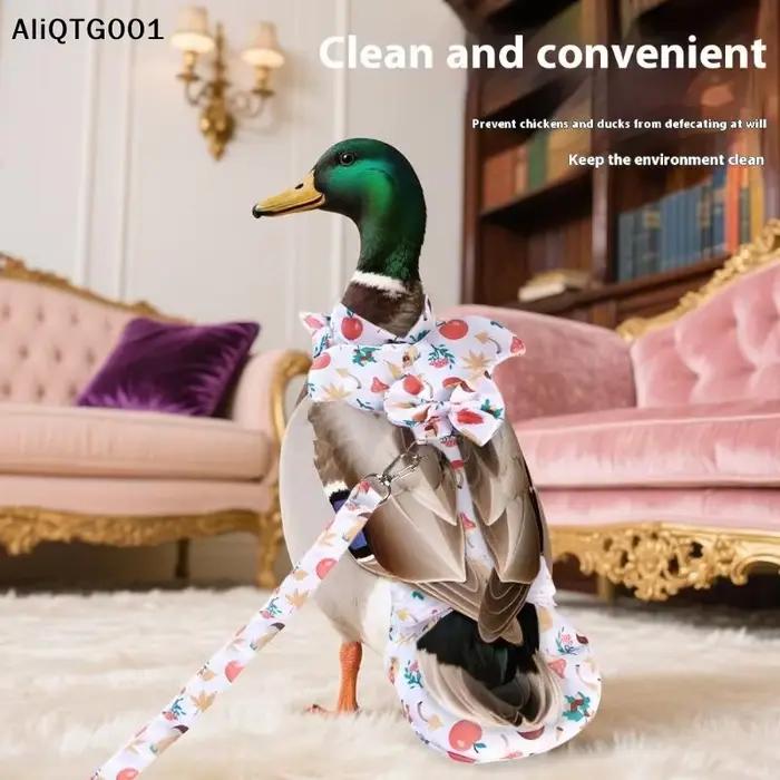 Ensemble de cordes de Traction pour animaux de compagnie