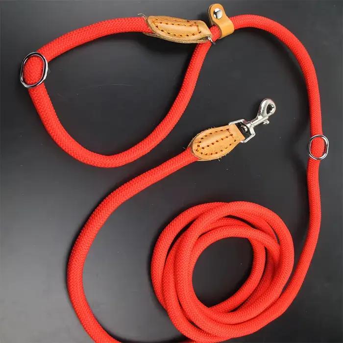 Laisse multifonctionnelle pour chien