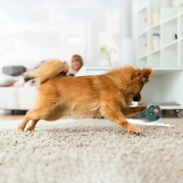 Jouets en silicone remplissables pour chiens
