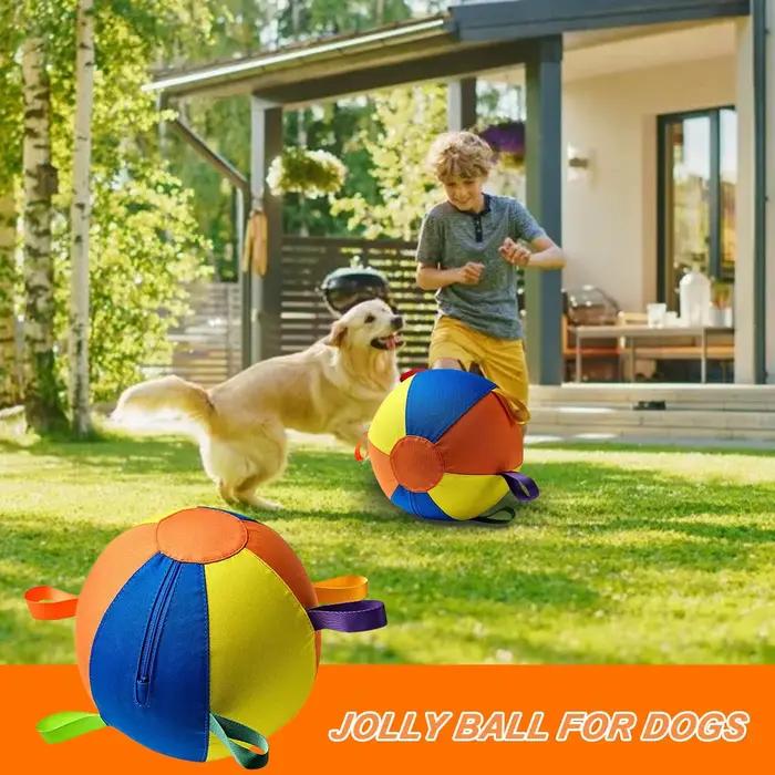 Balles pour chien portables