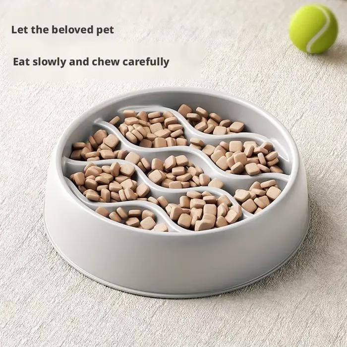 Bol de nourriture lente pour chien et chat