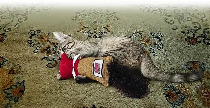 Jouet pour chat KONG Kickeroo Cuddler, couleurs variées