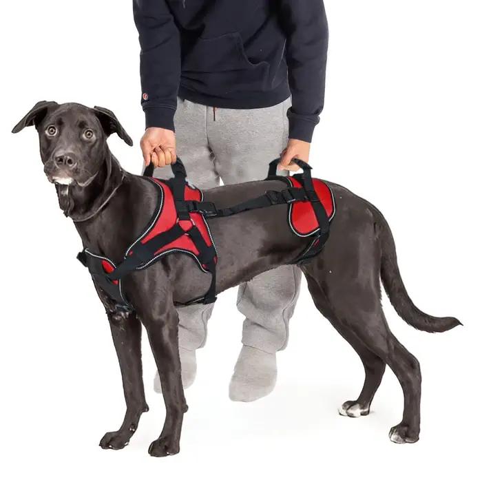 Harnais pour chien, fabricant en gros