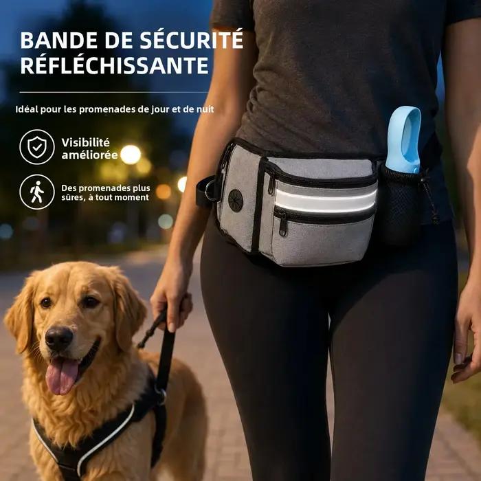 Poudres pour chien pour l'entraînement en plein air