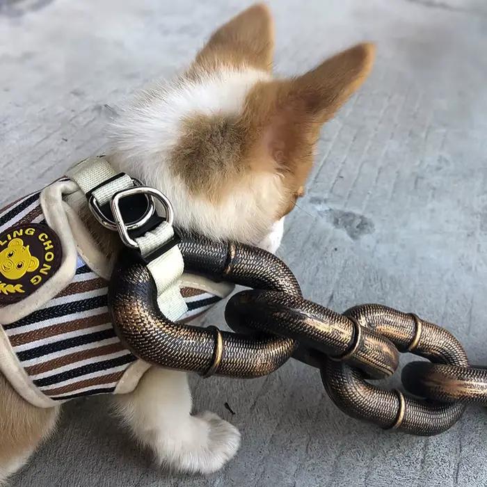 Laisse de chien créative chaîne