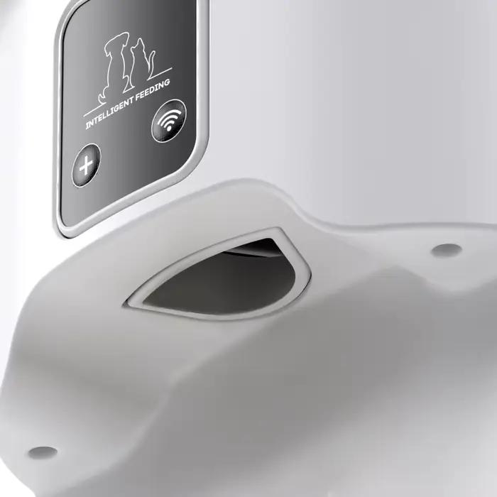 Mangeoire automatique pour chat