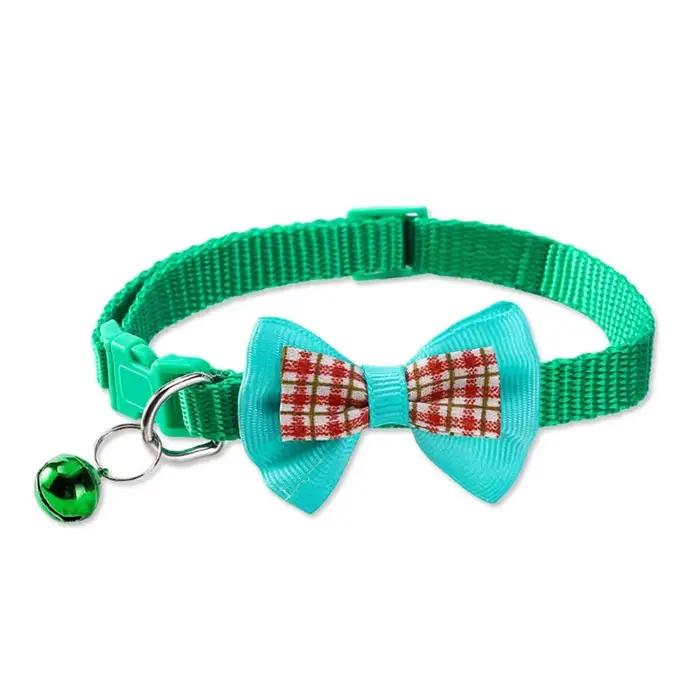 Collier pour chien mignon
