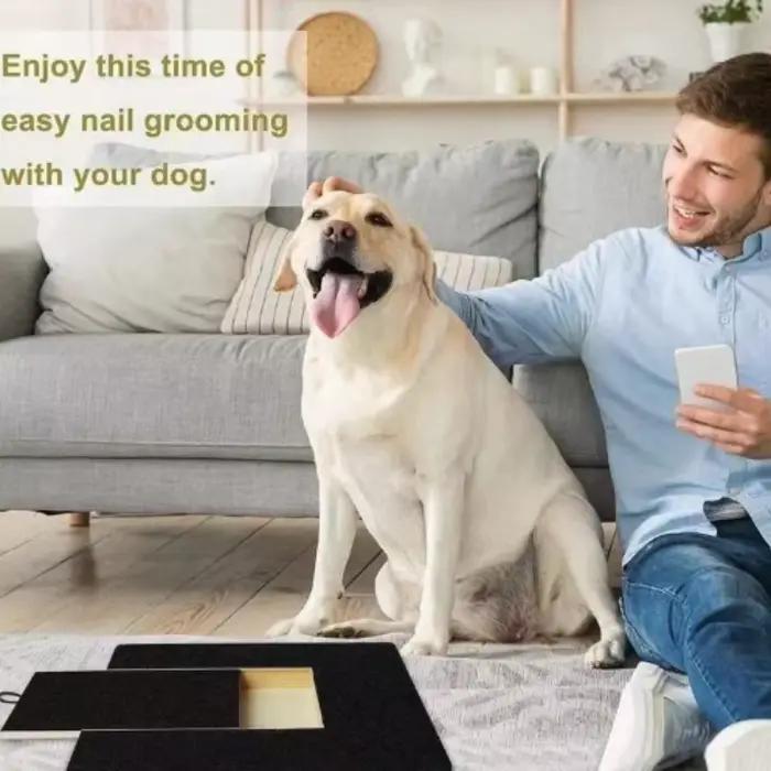 Grattoir en bois pour chiens avec boîte à friandises intégrée, tampon de ponçage pour ongles, surface en papier de verre à conception coulissante, jouet à gratter