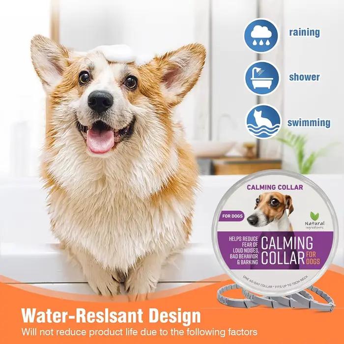 Colliers apaisants naturels pour chiens et chats