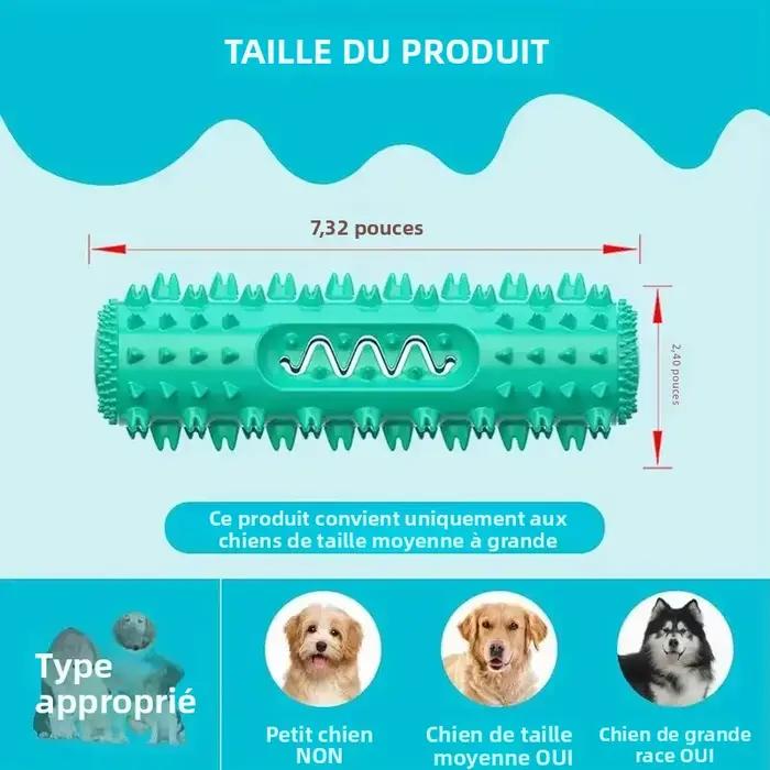 Bâton à mâcher dentaire approuvé par le vétérinaire – Jouet de brosse à dents rafraîchissante 3 en 1 pour petits/moyen