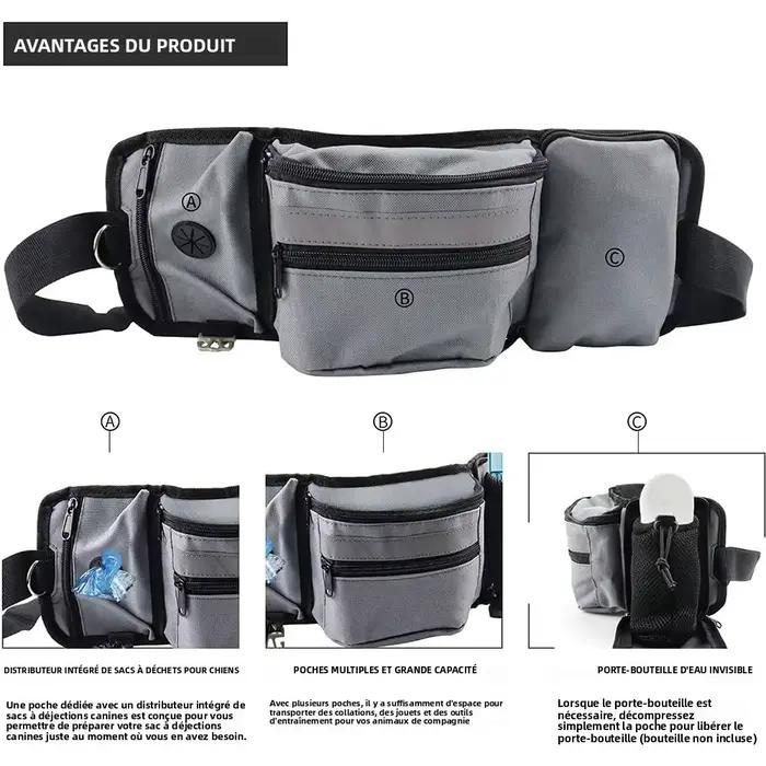 Poudres pour chien pour l'entraînement en plein air