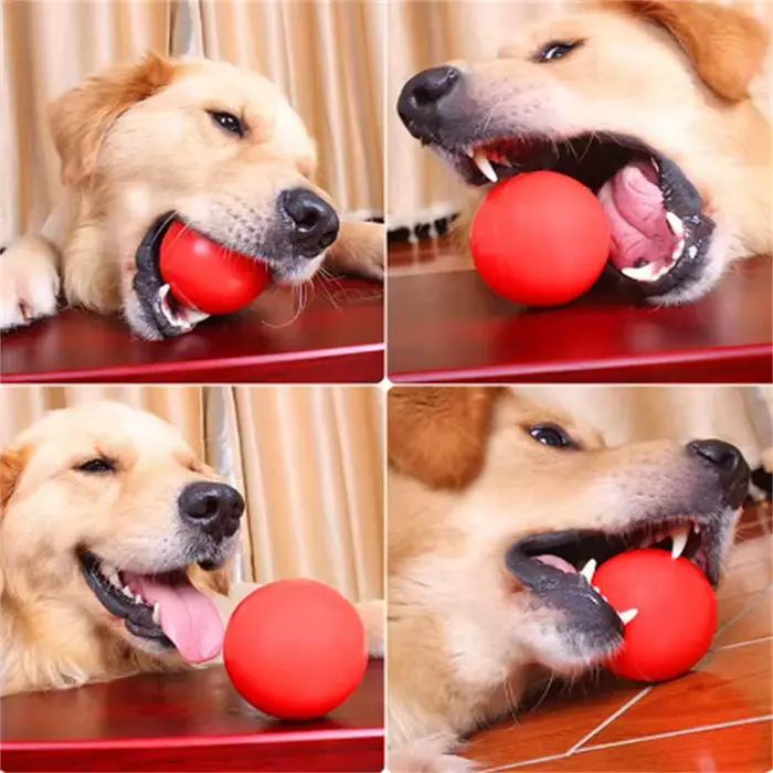 Balles rebondissantes pour chiens