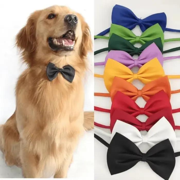 Collier à nœud papillon pour animaux de compagnie élégant et réglable : rend votre chien ou un chat fabuleux!