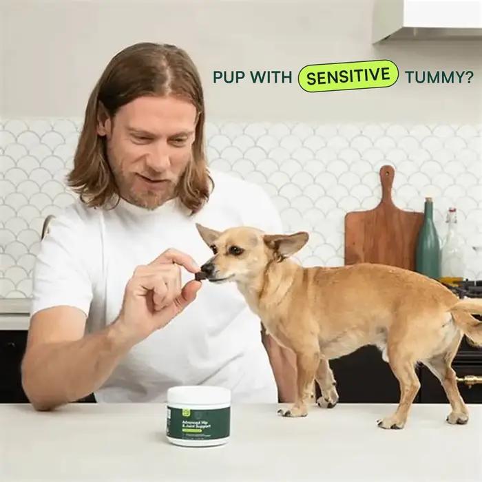 Complément avancé pour les hanches et les articulations des chiens avec glucosamine