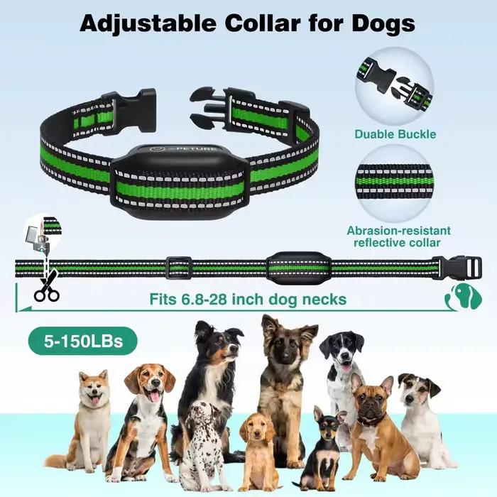 Collier d'entraînement pour chien