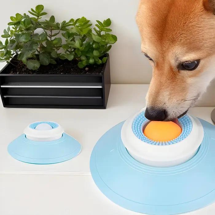 Jouets interactifs pour animaux de compagnie