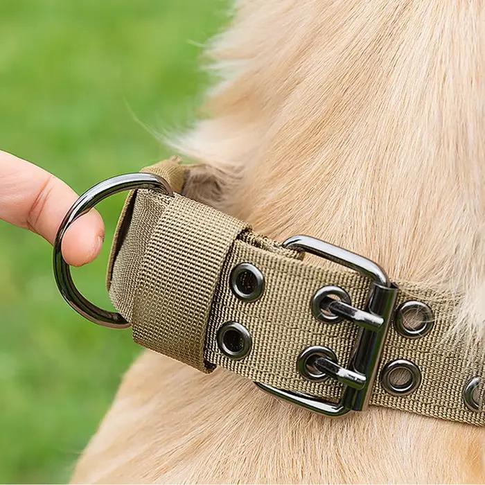 Collier militaire réglable pour chien