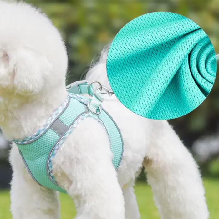 Ensemble harnais et laisse pour la promenade en extérieur pour chiens de petite à moyenne taille
