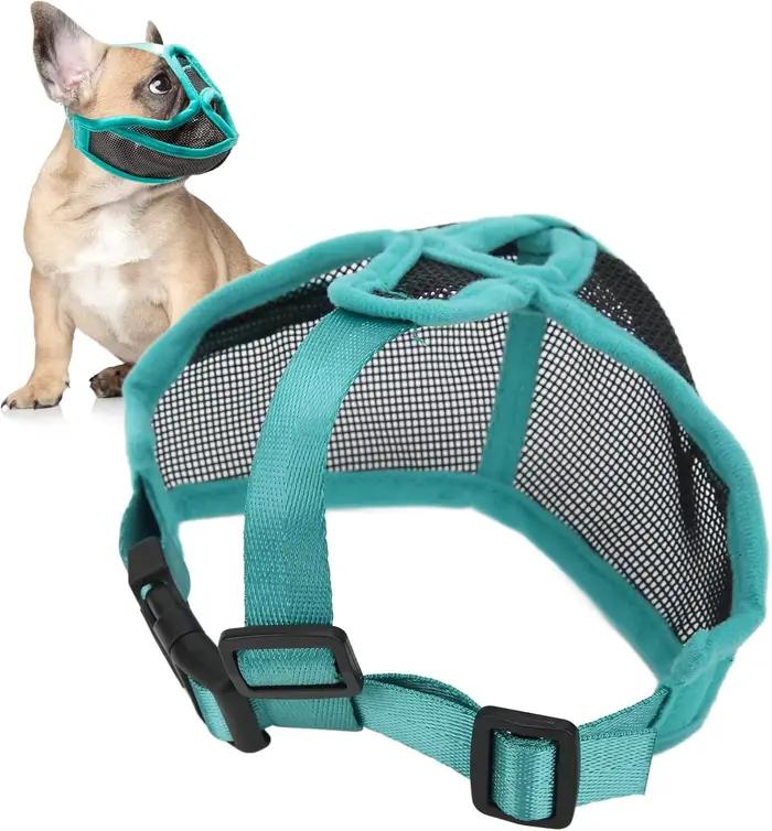 Muselière pour chien