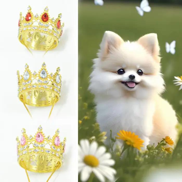 Couronne pour animaux de compagnie