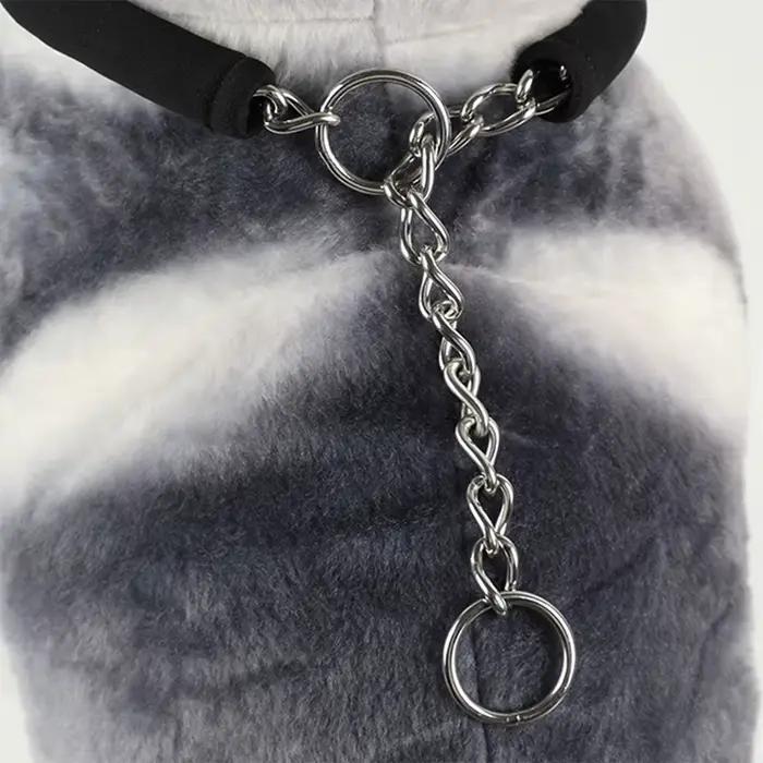 Collier pour chien en acier inoxydable