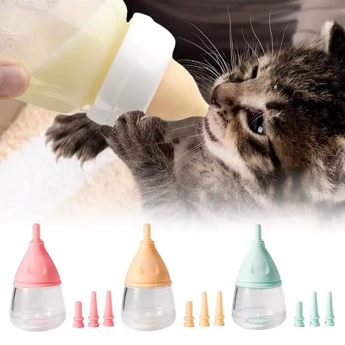 Mangeoire réutilisable pour chaton