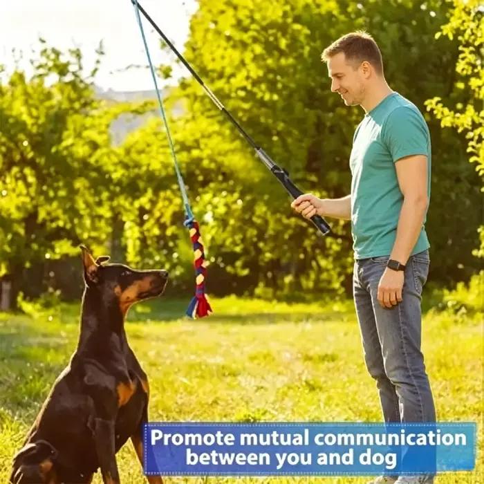 Bâton de dressage et de jeu pour chien