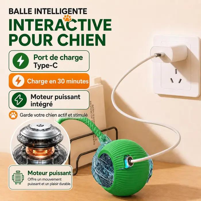 Nouveau jouet interactif de balle de chien