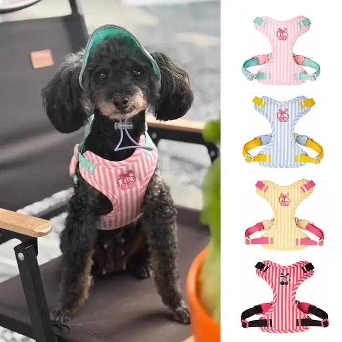 Ensemble de laisse harnais pour chien élégant avec poupée en peluche