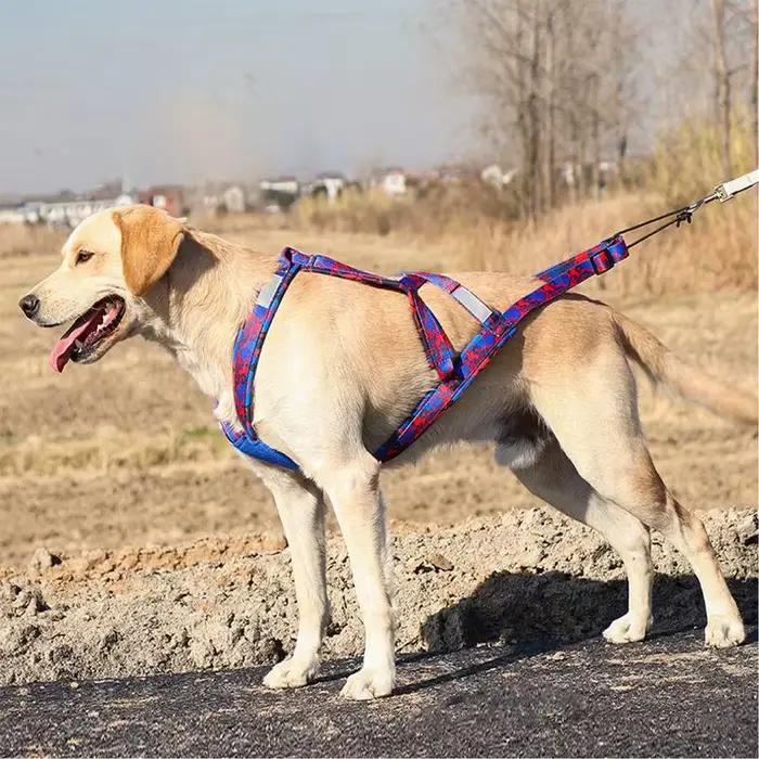 Harnais de course pour chien