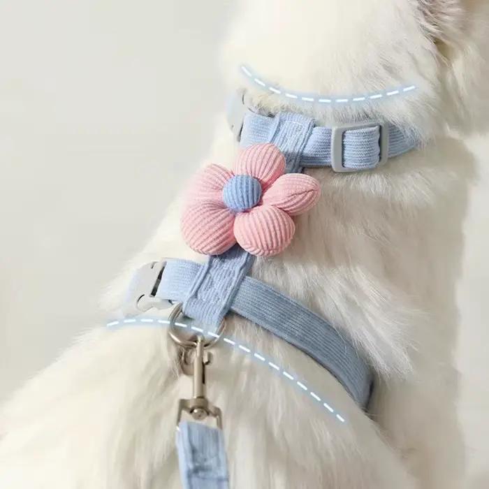 Ensembles de harnais et de laisse pour chat