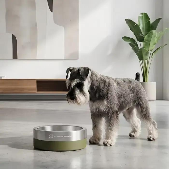 Bol pour chien de 4 tailles