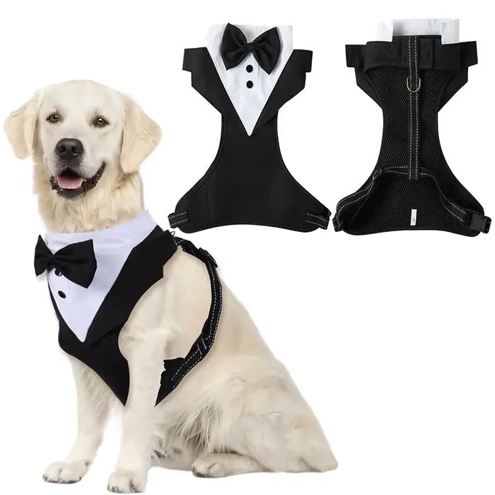 Harnais de smoking pour chien