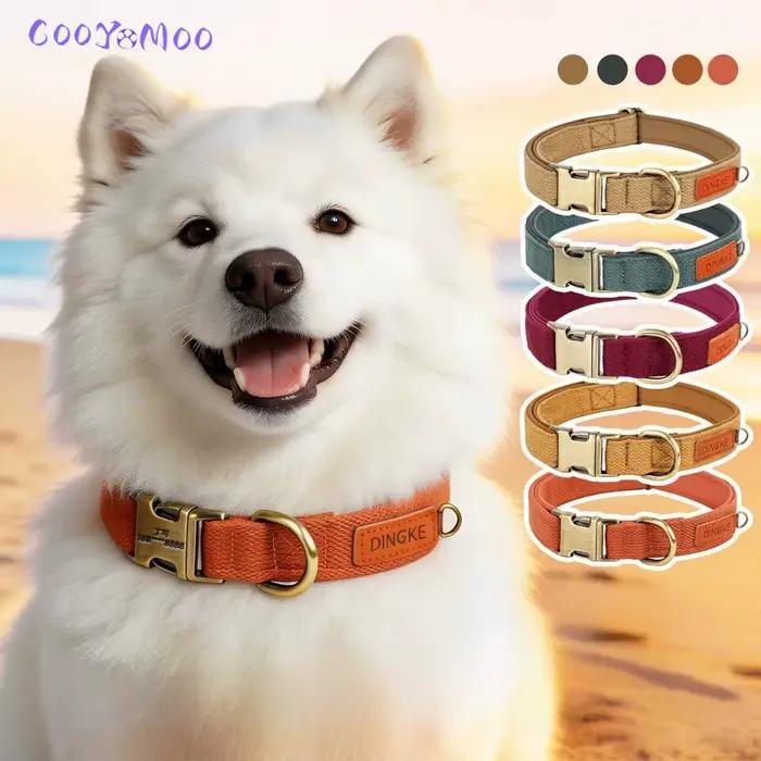 Collier et laisse personnalisés pour chien en cuir PU
