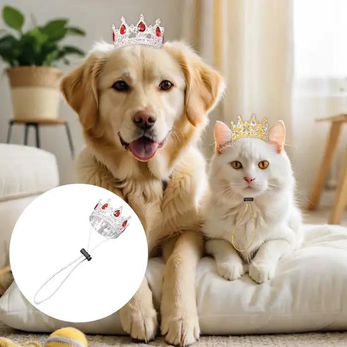 Chapeau Couronne pour Animaux de Compagnie