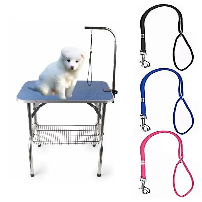 Laisse réglable et Durable pour chien