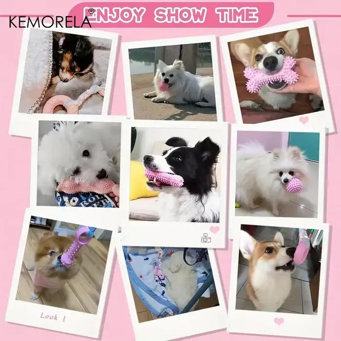 Jouets à mâcher pour chiens