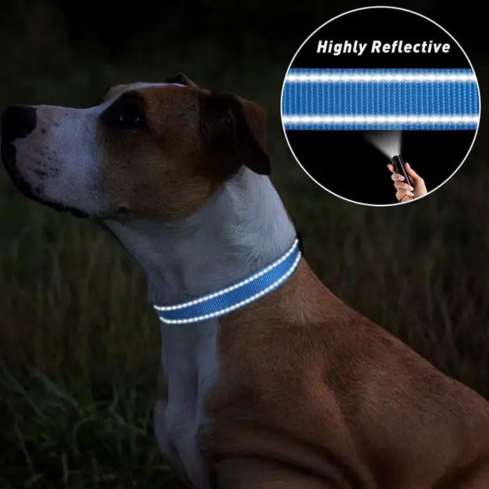 Collier pour chien en nylon réfléchissant