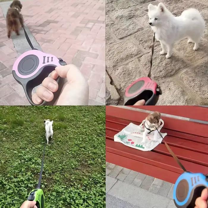 Laisse rétractable automatique durable pour chien et chat