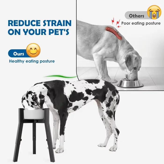 Support de bol suréWerpour chiens moyens