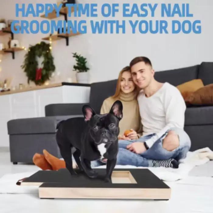 Planche à gratter en bois pour animaux de compagnie avec boîte à friandises intégrée, tampon de coupe-ongles pour chien, planche à gratter extractible, jouet à gratter, planche à gratter en papier de 